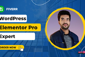 be elementor expert to clone develop, redesign any wordpress website