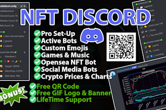 professionally setup nft discord server with qr code