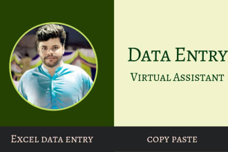 do excel data entry , virtual assistant, copy paste work