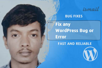fix any wordpress bug or error, fast and reliable