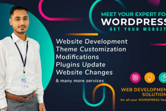 do theme customization and website modifications