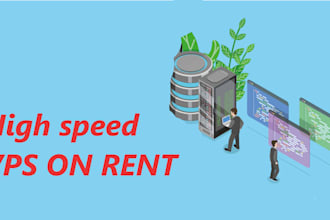 provide you server on rent with ssd drives