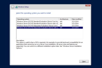 do all the windows  server activity