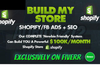 design drop shipping shopify website shopify dropshipping store, bug fixer
