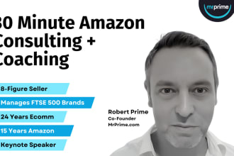 provide expert amazon strategy, consulting, and coaching