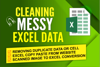 data formatting clean messy excel data and clean extra address
