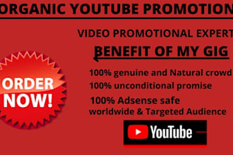 do organic youtube promotion to million of audience to boost views and subs