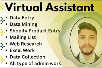 be your expert virtual assistant