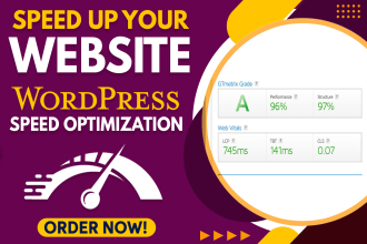 do wordpress website speed optimization for google page speed insight