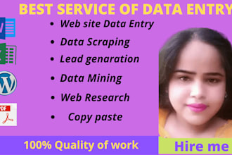 do a professional excel data entry and web research job