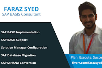 be the only sap basis consultant you would need