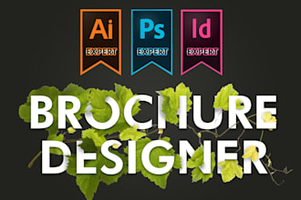 design your professional business brochure
