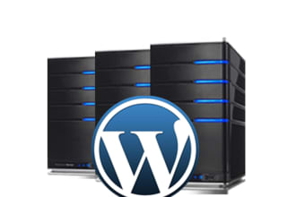 setup WordPress on your host