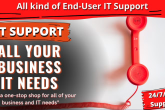 provide professional IT support, help desk support services