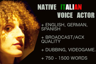 record high quality dubbing and voice over