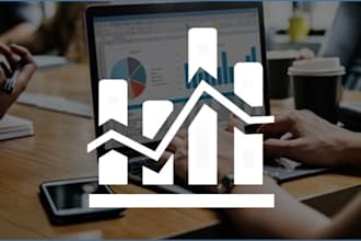 provide business valuations, investment appraisals budgeting