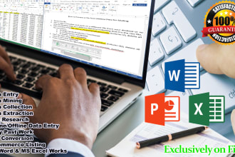 do excel data entry, copy paste, typing, pdf data entry