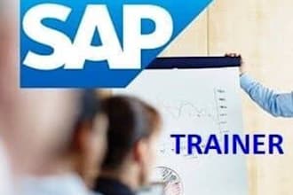 provide you in sap fico consultancy