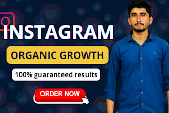do instagram promotion for fast organic instagram growth