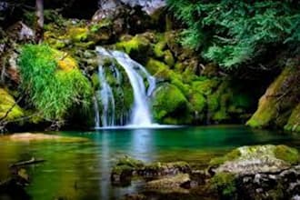 write poems on nature, living, environment