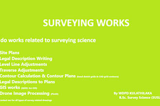 do professional land surveying drafts with 24 hour delivery