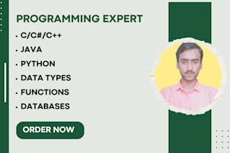 do computer science, java ,c, cpp, python and networking programming project