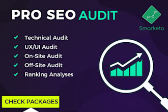 provide a website SEO audit report