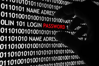 teste your web site security
