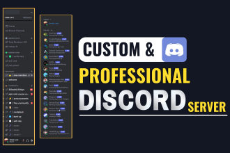 setup custom discord server professionally