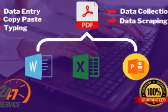 be your virtual assistant for data entry, typing, copy paste work
