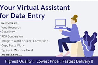 provide pro virtual assitance
