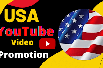organic USA youtube promotion usa targeted audience