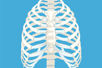 draw medical, educational, scientific illustrations