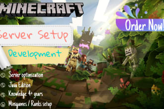 make you a professional minecraft server