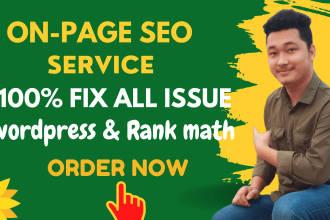 perfect wordpress, rank math on page SEO fix technical issue
