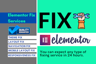 fix your elementor, theme and any wordpress issues