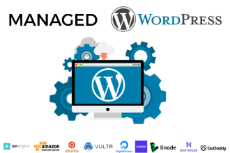 manage and maintain your wordpress website