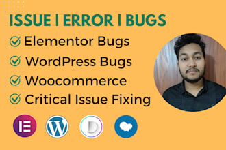 fix elementor bug, wordpress debugging, wordpress bug fixing