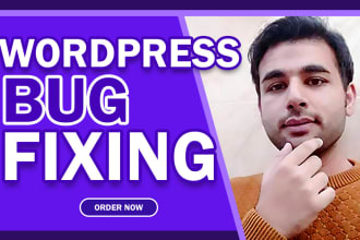 wordpress bug fixing , issues and customization