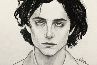 draw professional and realistic pencil portrait from your photos