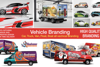 do professional car van any vehicle wrap