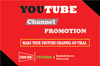 do organic youtube channel promotion marketing in the USA for organic growth
