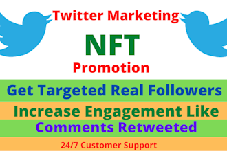 do twitter marketing and promotion with increase nft followers