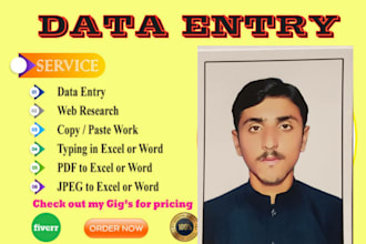 be your expert data entry VA
