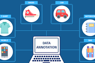 do data labelling and data segmentation