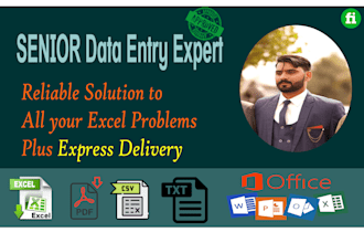 do excel data cleanup, formatting, excel formulas, excel data entry and vlookup