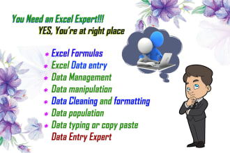 do excel data entry, data management, data cleaning, advance excel formulas,