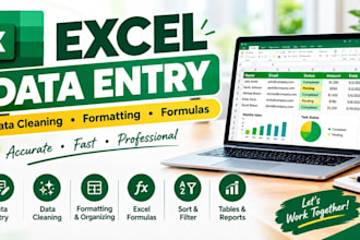 do excel data entry, data cleaning, formatting,  excel formulas