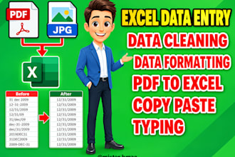 do excel data entry, data cleaning, merge excel data sheets, excel formulas