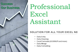do data entry, excel sheets, vlookup, xlookup, data cleaning